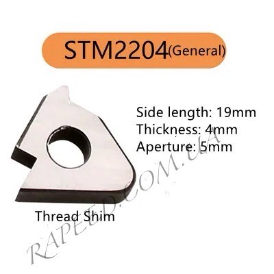 STM2204